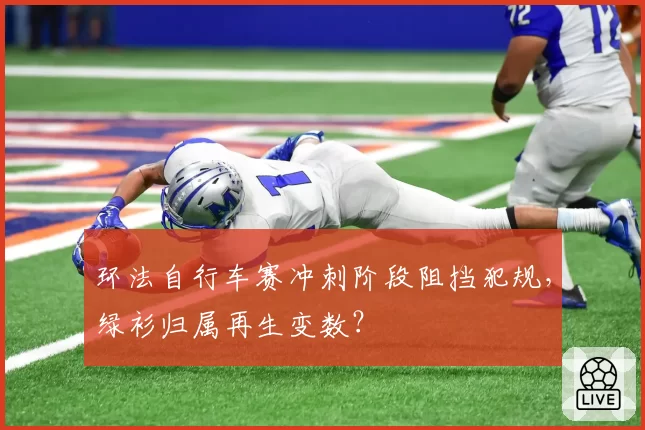 环法自行车赛冲刺阶段阻挡犯规，绿衫归属再生变数？