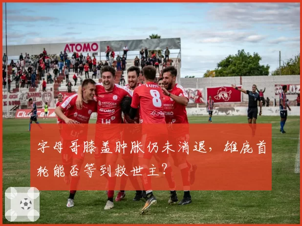 字母哥膝盖肿胀仍未消退，雄鹿首轮能否等到救世主？