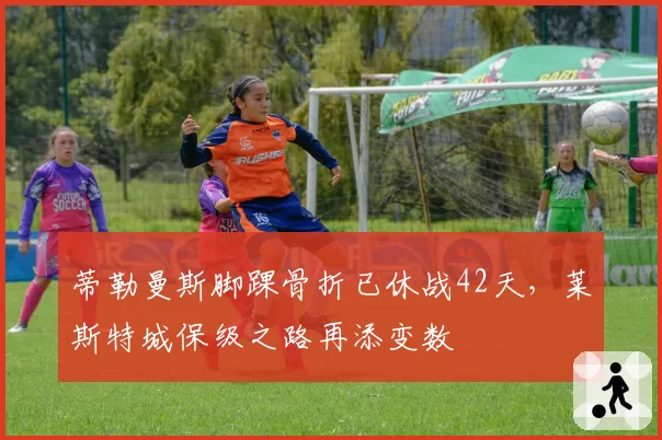 蒂勒曼斯脚踝骨折已休战42天,莱斯特城保级之路再添变数