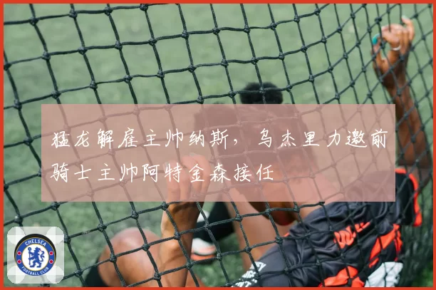 猛龙解雇主帅纳斯,乌杰里力邀前骑士主帅阿特金森接任