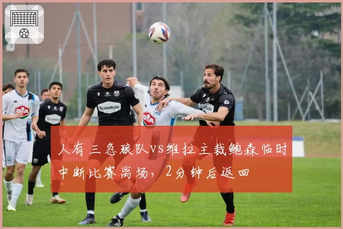 人有三急狼队vs维拉主裁鲍森临时中断比赛离场，2分钟后返回
