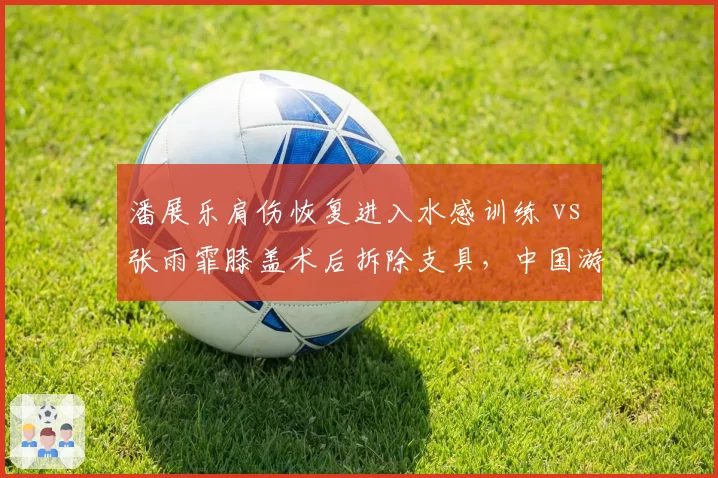 潘展乐肩伤恢复进入水感训练 vs 张雨霏膝盖术后拆除支具,中国游泳队奥运备战进度分化