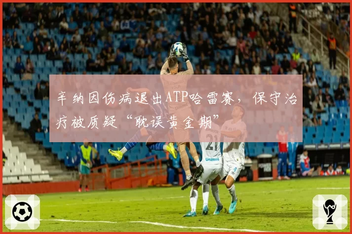 辛纳因伤病退出ATP哈雷赛，保守治疗被质疑“耽误黄金期”