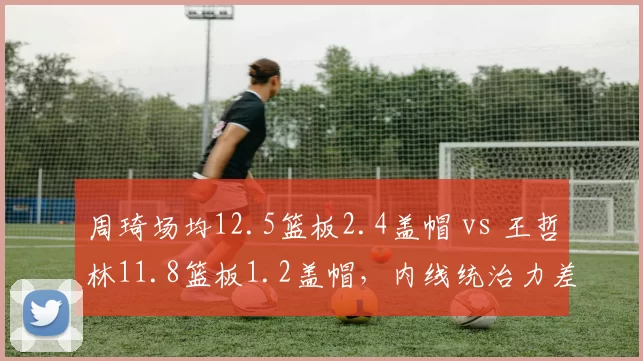 周琦场均12.5篮板2.4盖帽 vs 王哲林11.8篮板1.2盖帽,内线统治力差距明显